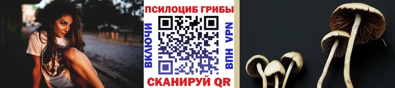 Псилоцибиновые грибы Magic Shrooms  что такое   Володарск 
