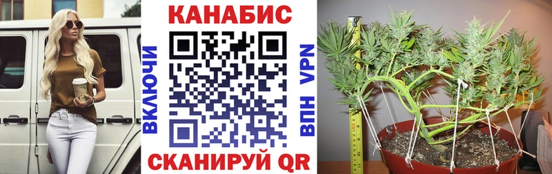 hydra   закладка  Володарск  Шишки марихуана LSD WEED 